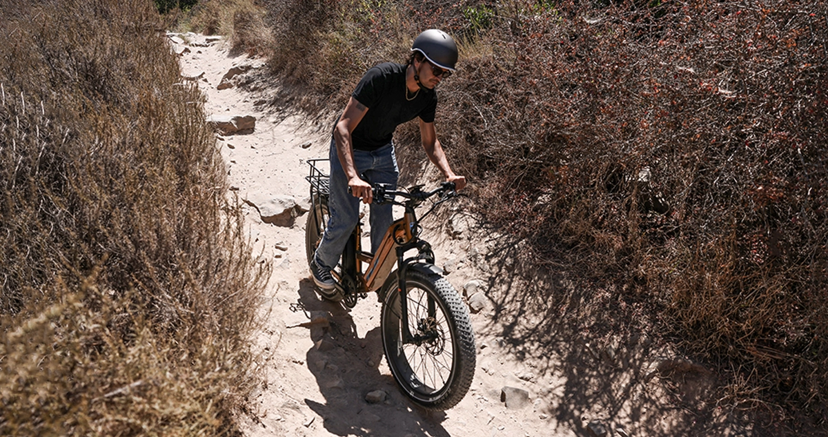Electric Bike Heart Health Plan by Lifestyle & Age Group